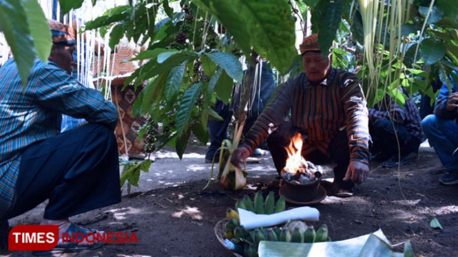 Sesepuh Kebun Kopi Karanganyar sedang membacakan doa di bawah pohon kopi pada ritual Manten Kopi, Sabtu ( 22/6/2019). (FOTO : Sholeh TIMES Indonesia)