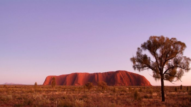 Taman Nasional Uluru-Kata Tjuta sedang mencari inisiatif pariwisata baru menyusul penutupan pendakian batu uluru.