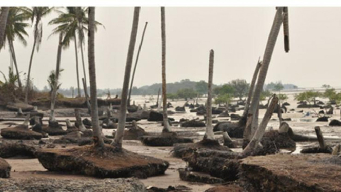Abrasi yang Terjadi di Pantai Bengkalis, Riau (Foto: Istimewa)