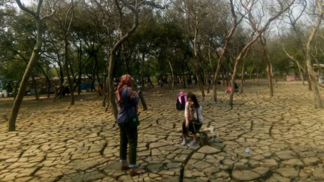Tanah retak akibat kemarau di Pakuhaji, Tangerang, jadi tempat wisata baru.