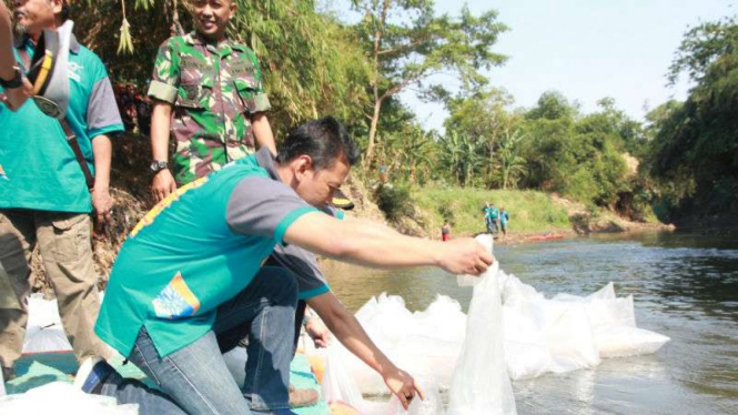 Benih ikan nilem disebar di Sungai Ciliwung, Jakarta, Selasa, 16 Juli 2019.