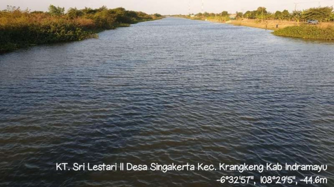 Petani Indramayu Kreatif Buat Sodetan Sungai.