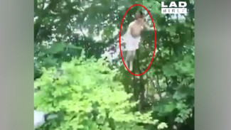 Main Trampolin, Remaja Ini Terlempar Hingga Setinggi Pohon
