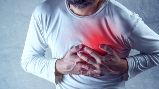 Menurut para ilmuwan, penyakit jantung begitu umum pada manusia tapi sangat jarang pada mamalia lain. - Getty Images