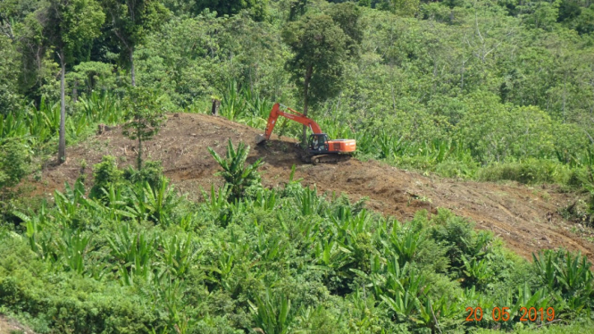 Pembukaan lahan aktif di habitat Gajah Sumatera oleh PT. Indo Alam. 20 Mei 2019