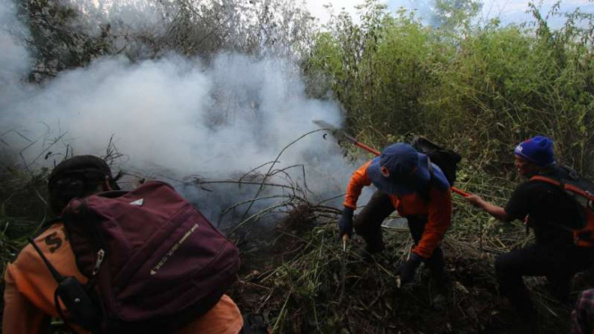 Ilustrasi kebakaran hutan di Gunung Panderman, Kota Batu, Jawa Timur.