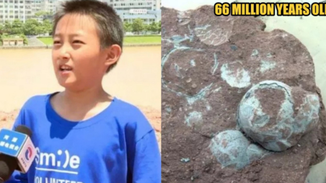 Bocah asal China yang menemukan sarang telur dinosaurus.