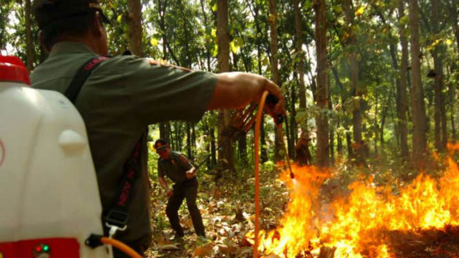 Penangan kebakaran hutan di wilayah Jawa Tengah.