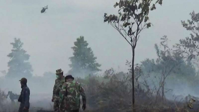 Kabut Asab dari Karhutla Jambi