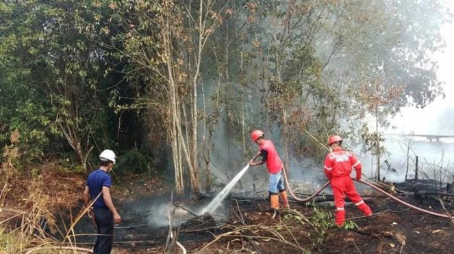Proses Pemadaman Kebakaran Hutan dan Lahan di Riau.