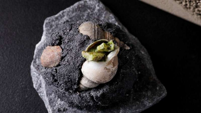 Masakan keong berbentuk fosil Ammonoid 