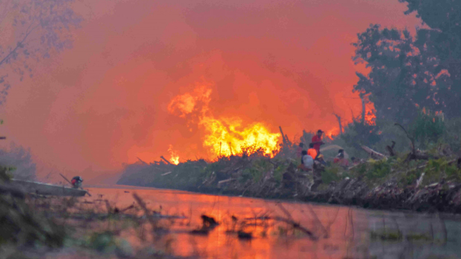 Kebakaran hutan dan lahan. (Foto ilustrasi).