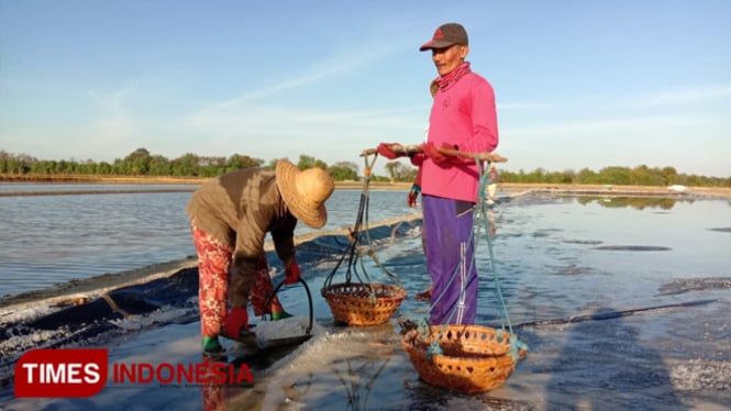 Petani saat berada di lahan garam. (Foto: Akhmad Syafi"i/TIMES Indonesia)