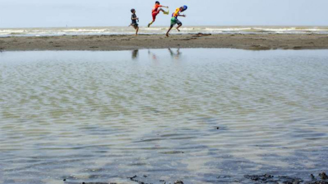 Tumpahan minyak mentah yang tercecer di Pesisir Pantai Tanjungsari, Karawang.