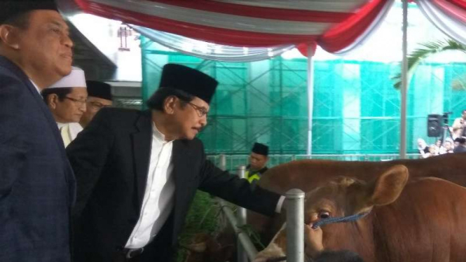Jokowi-JK serahkan sapi untuk kurban di Masjid Istiqlal.