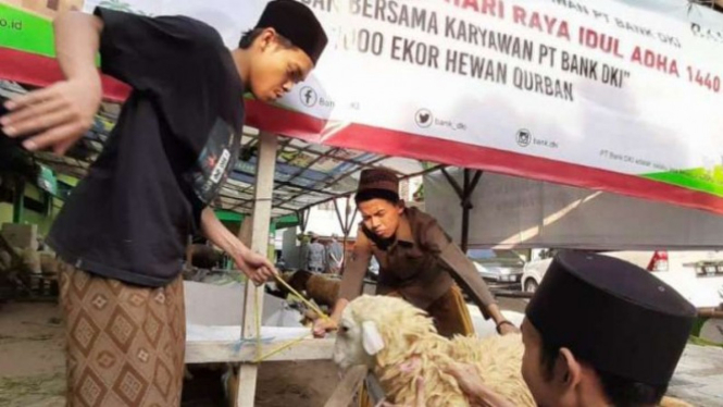 Bank DKI Salurkan Qurban ke 100 Masjid di Jakarta