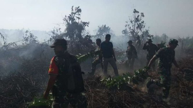 Kebakaran hutan produksi konversi (HPK) di Kabupaten Pesisir Selatan, Sumatera Barat