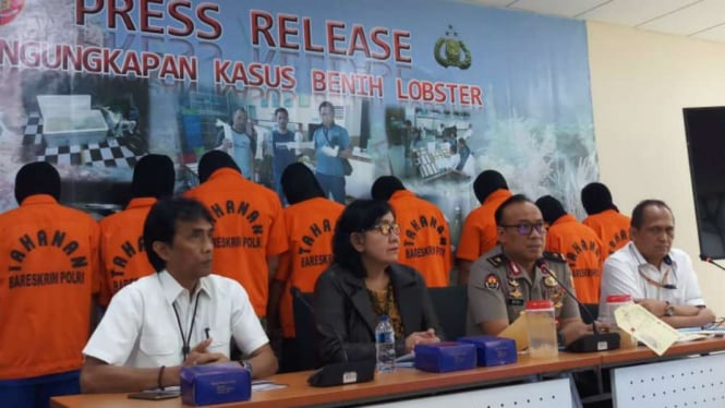 Kepolisian ungkap Kasus benih lobster.