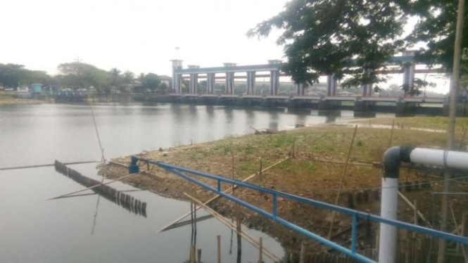 Sungai Cisadane kering saat musim kemarau, di Tangerang, Kamis, 15 Agustus 2019.