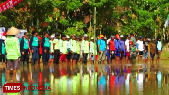 Petani di Desa Watukebo, Kecamatan Wongsorejo, Banyuwangi, menggelar upacara bendera Kemerdekaan Republik Indonesia ke-74, berkubang lumpur area pesawahan. (FOTO: Syamsul Arifin/TIMES Indonesia)