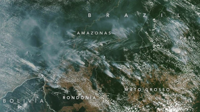 Kebakaran hebat melanda hutan hujan Amazon.
