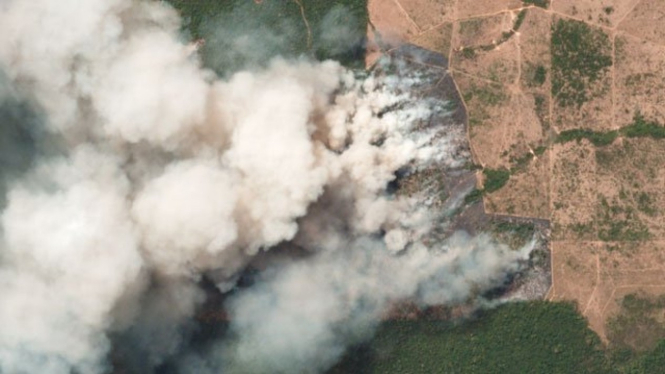 Some of the wildfires, such as this one in ParÃ¡, Brazil, cover a number of acres - Planet Labs Inc.