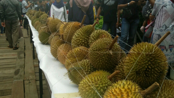 Festival Durian Bumi Khatulistiwa di Pontianak, Kalimantan Barat.