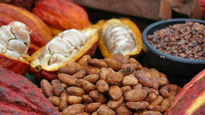 Kakao dan Kopi Indonesia.