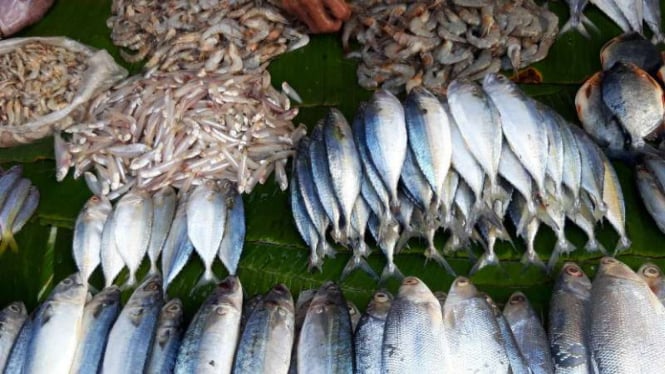 Ikan segar tangkapan nelayan Indonesia.