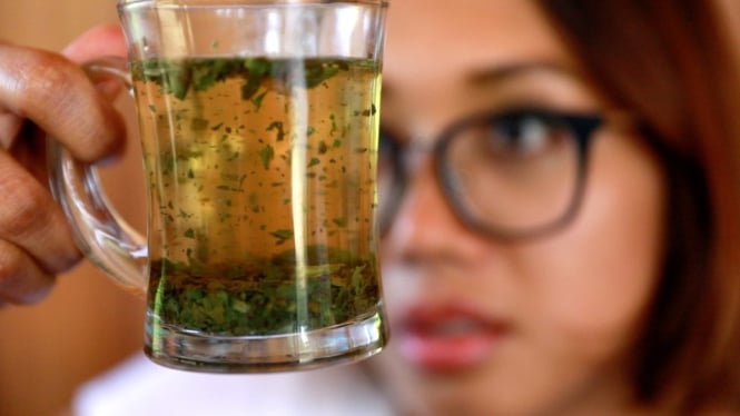 Apakah tradisi minum kratom harus dihentikan karena berubahnya legalitas kratom di Indonesia, pertanyaan itu hanya akan dapat dijawab oleh regulator. - BBC News Indonesia