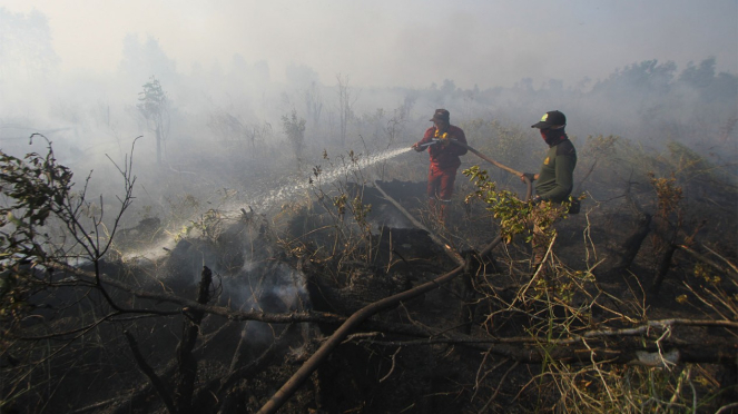 (Visual) Extinción de incendios forestales y terrestres (Karhutala).