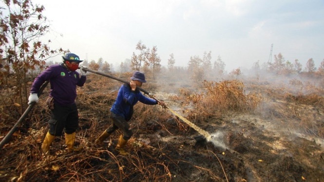 Anggota Masyarakat Peduli Api (MPA) Kabupaten Pulang Pisau memadamkan kebakaran hutan dan lahan di desa Tanjung Taruna, Pulang Pisau, Kalimantan Tengah (15/08) - ANTARA FOTO/Bayu Pratama S/foc