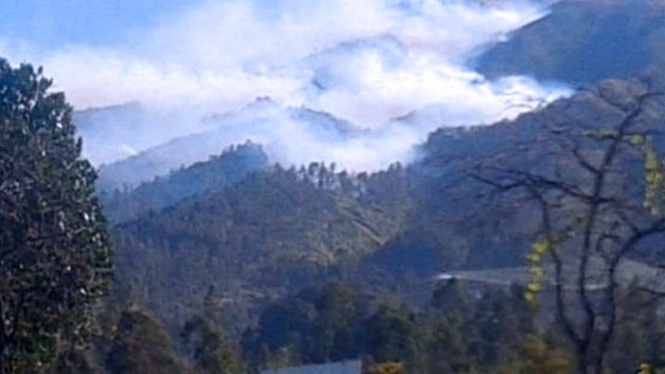 Kebakaran yang melanda Gunung Merbabu. (Foto: Istimewa)