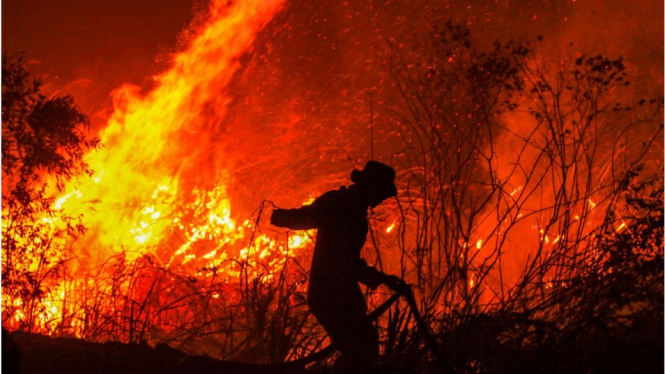 Pemadam kebakaran berupaya menjinakkan api di sebuah lahan di Kampung Rambutan, Ogan Ilir, Sumatera Selatan, 11 September 2019. - ABDUL QODIR/AFP