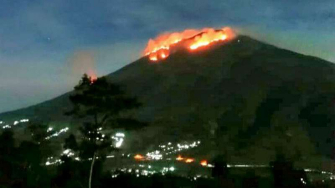 Gunung Merbabu terbakar.