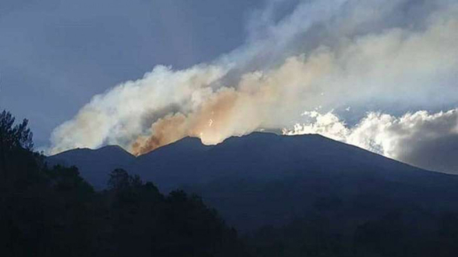 Kebakaran hutan dan lahan Gunung Merbabu 