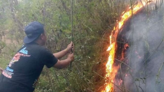  Petugas Balai Taman Nasional Gunung Merbabu memadamkan api di Gunung Merbabu secara manual.