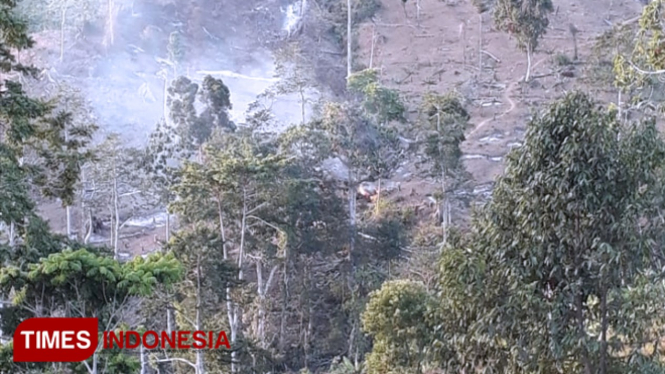 Kondisi Hutan Lindung Apusan yang mengalami kerusakan akibat pembalakan liar. (foto: ProFauna for TIMES Indonesia)