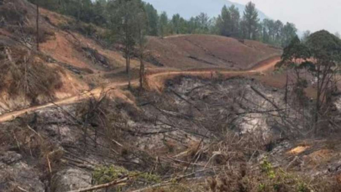 Kebakaran hutan di Kabupaten Solok, Sumatera Barat