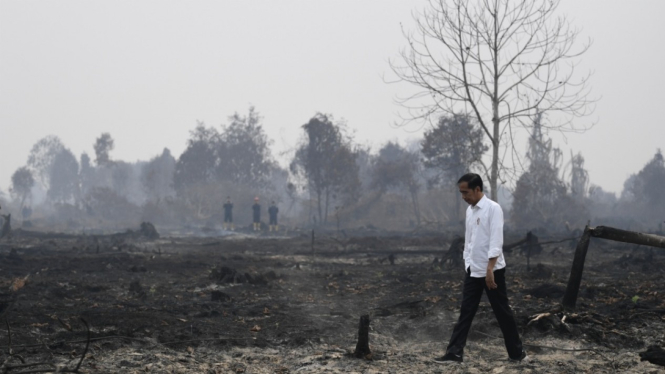 Presiden Jokowi saat Mengunjungi Lokasi Kebakaran Lahan.