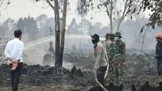 Presiden Jokowi tinjau lokasi kebakaran hutan dan lahan di Riau