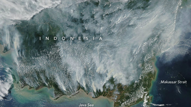 Citra kebakaran hutan Kalimantan dari satelit antariksa NASA