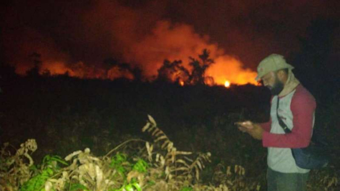 Hutan lindung di Mendahara Ulu Tanjung Jabung Timur Jambi terbakar