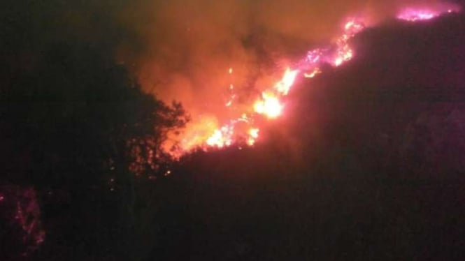 Kebakaran di Gunung Slamet, Jawa Tengah.