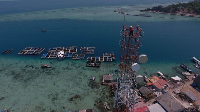 Petugas Melakukan Perawatan Tower Telekomunikasi Milik Tower Bersama di Kepulauan Seribu