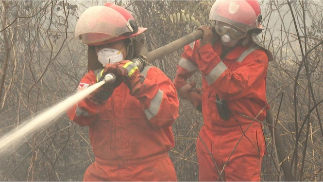 Pemadam kebakaran, relawan, hingga warga awam bahu-membahu memadamkan api di Palangkaraya, Kalimantan Tengah. - BBC News Indonesia