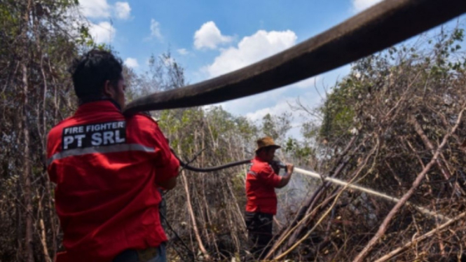 Petugas memadamkan kebakaran hutan di Riau beberapa waktu lalu