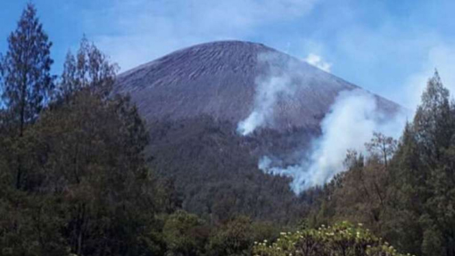 Kebakaran terjadi kembali di Gunung Merbabu Jawa Tengah.