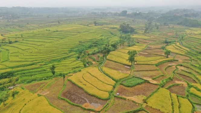 Pembangunan Embung.