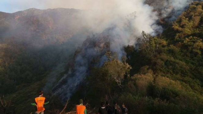 Kebakaran Gunung Slamet merembet hingga Banyumas.